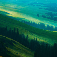 頭像圖標(biāo)1